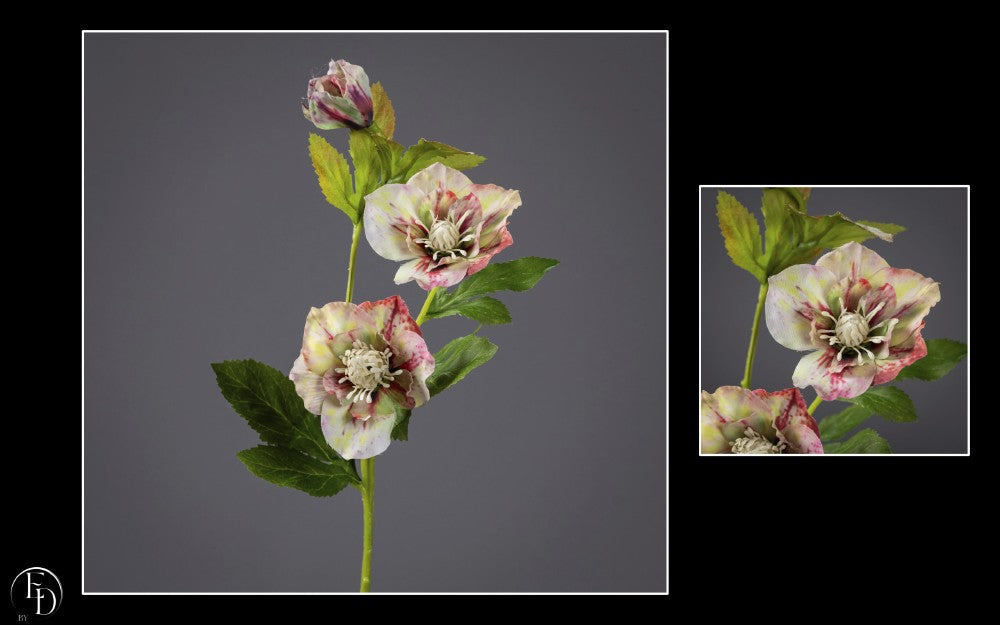 Hellébore artificielle crème et rouge - H.57 cm – Une floraison pleine de caractère - R2
