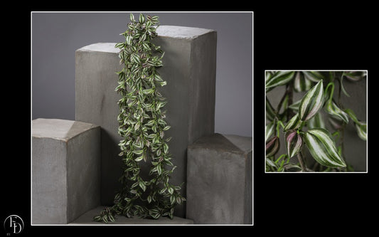 Branche artificielle de misère zébrée retombante- décoration d'intérieur - H. 150 cm  panaché vert blanc rose- Q4