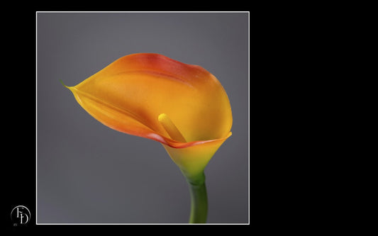 Fleur artificielle Arum - décoration d'intérieur - H. 65cm orange - P2