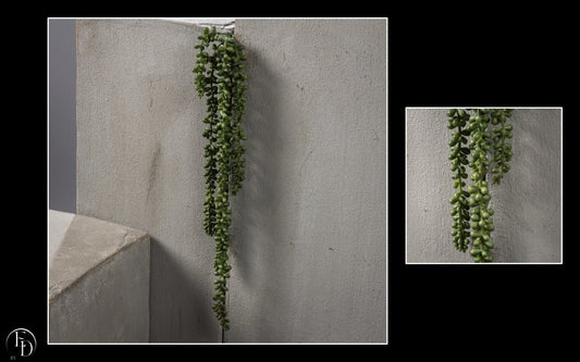 Chute de senecio- décoration d'intérieur - H. 69 cm vert R4