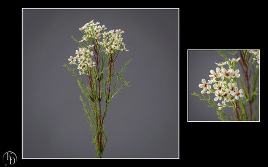 Tige de waxflower artificielle - décoration d'intérieur - H.78 cm - creme Q3