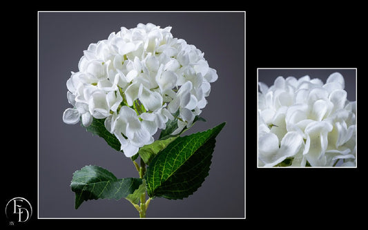 Hortensia artificiel crème 66 cm – Élégance intemporelle et douceur naturelle - Q4