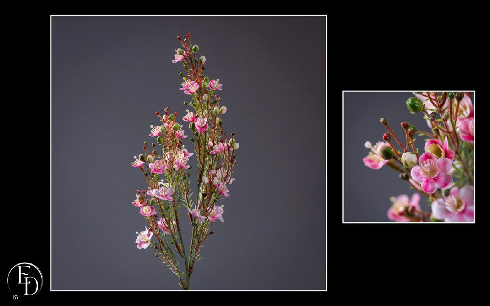 Fleur de Wax artificielle fuchsia - H.60 cm – Délicatesse florale et charme naturel - R3