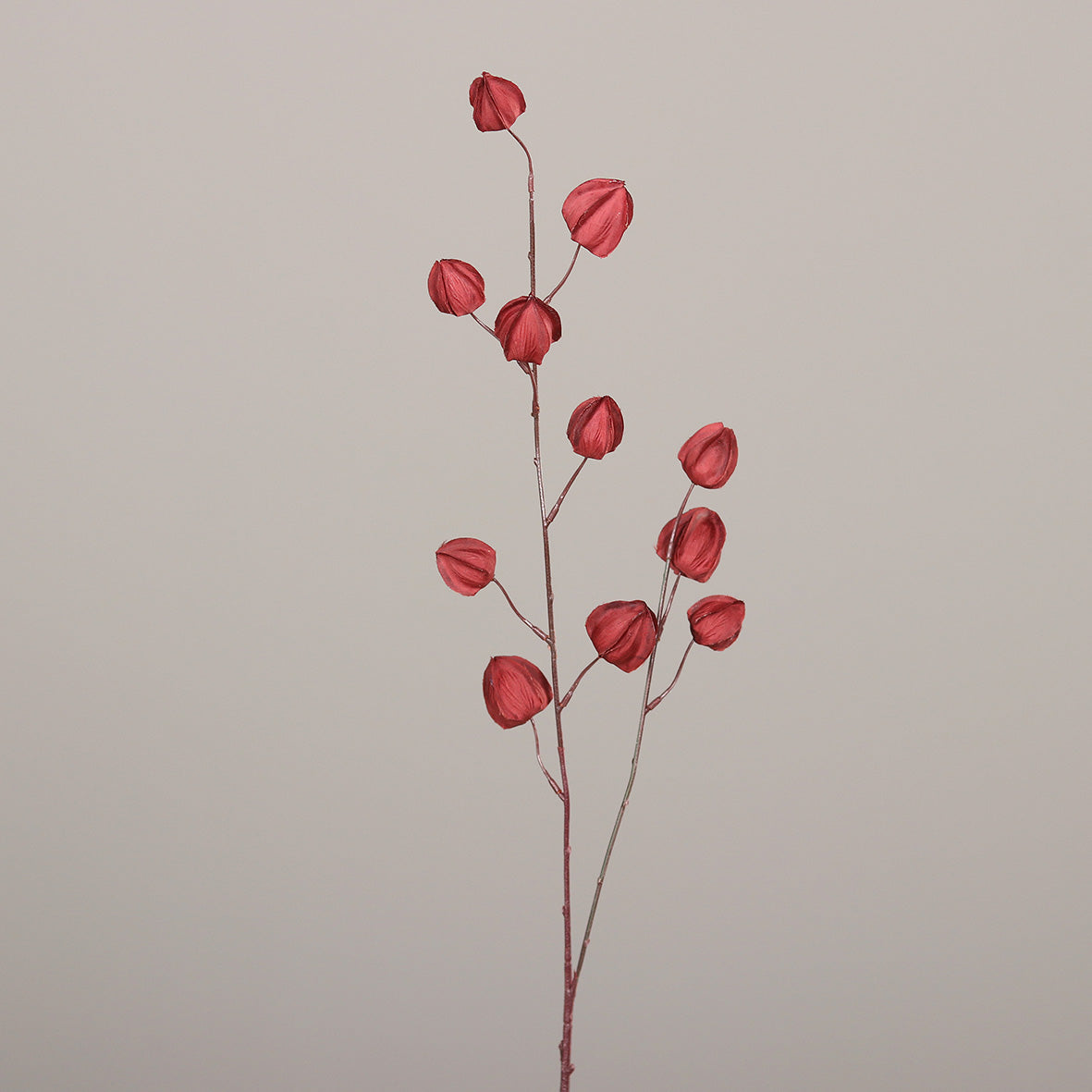 Branche de Physalis artificiel - création de bouquet - H.90cm pourpre