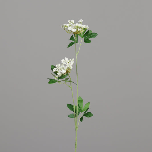 Fleur artificielle d'Aneth 2 têtes fleurie -  70 cm - couleur crème