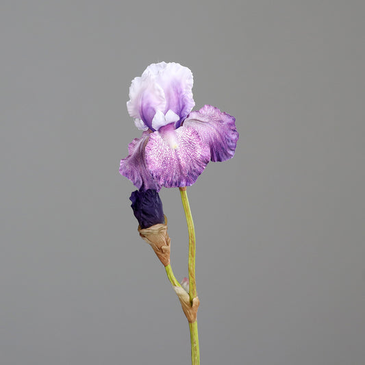 Fleur artificielle Iris artificiel pourpre nuancé - composition bouquet - H.80 cm - 1 fleur et 1 bouton - MAG