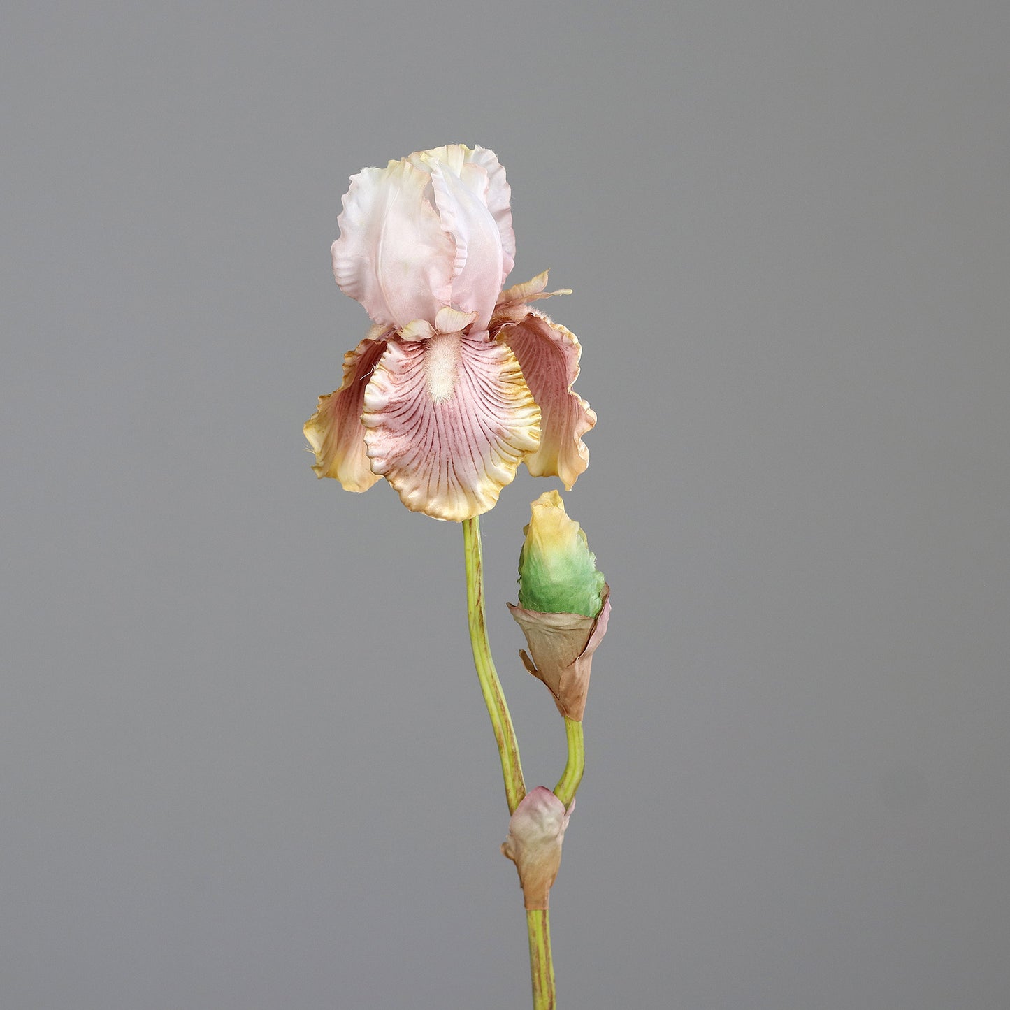 Fleur artificielle Iris artificiel mauve nuancé - composition bouquet - H.80 cm - 1 fleur et 1 bouton - MAG