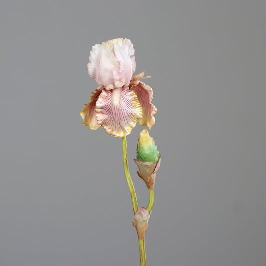 Fleur artificielle Iris artificiel mauve nuancé - composition bouquet - H.80 cm - 1 fleur et 1 bouton - MAG