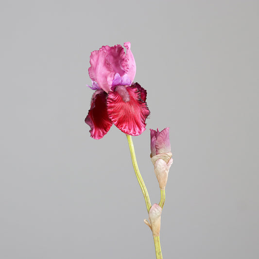 Fleur artificielle Iris artificiel fuchsia nuancé - composition bouquet - H.80 cm - 1 fleur et 1 bouton - MAG