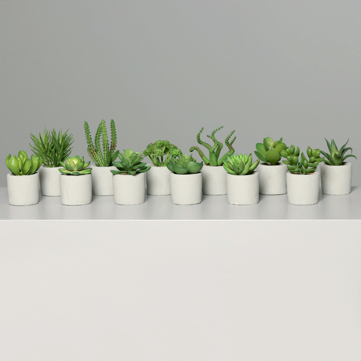 Assortiment de 12 succulentes artificielles en pot béton crème/gris – H.de 9 à 15 cm - Q3