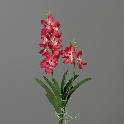 Fleur artificielle Orchidée Vanda feuillage et racines H.63cm rose vif