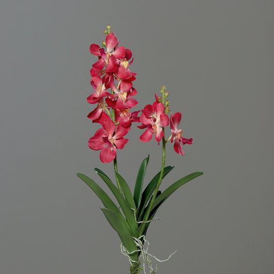 Fleur artificielle Orchidée Vanda feuillage et racines H.63cm rose vif
