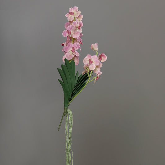 Fleur artificielle Orchidée Vanda feuillage et racines H.80cm blanc-rose