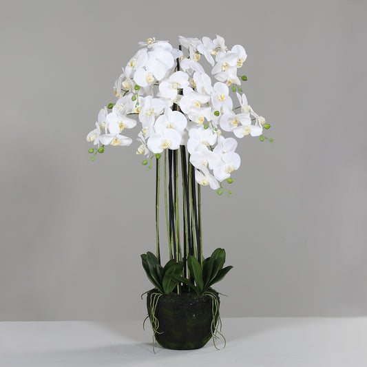 Fleur artificielle Orchidée Phalaénopsis en motte - plante d'intérieur - H.110cm crème - P4
