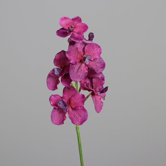 Fleur coupée Orchidée Vanda - Cymbidium - création bouquet artificiel - H.60cm - rose violet