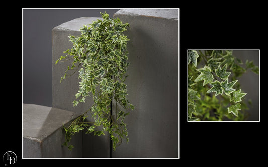 Chute de lierre vert panaché - décoration d'intérieur - H.81 cm -  S4
