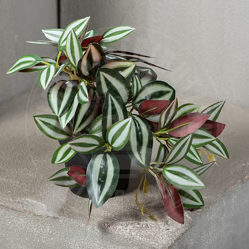 Feuillage artificiel Tradescantia zebrina pendula en pot - H.18 cm - panaché - S3
