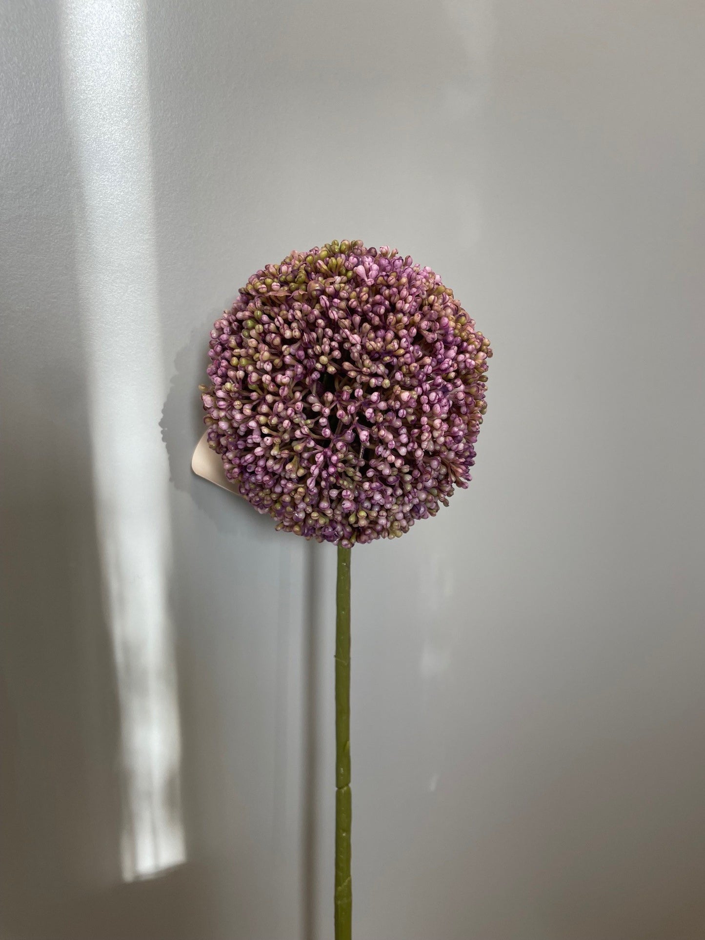 Fleur artificielle tige d'allium - décoration d'intérieur - H.72 cm - mauve - P3