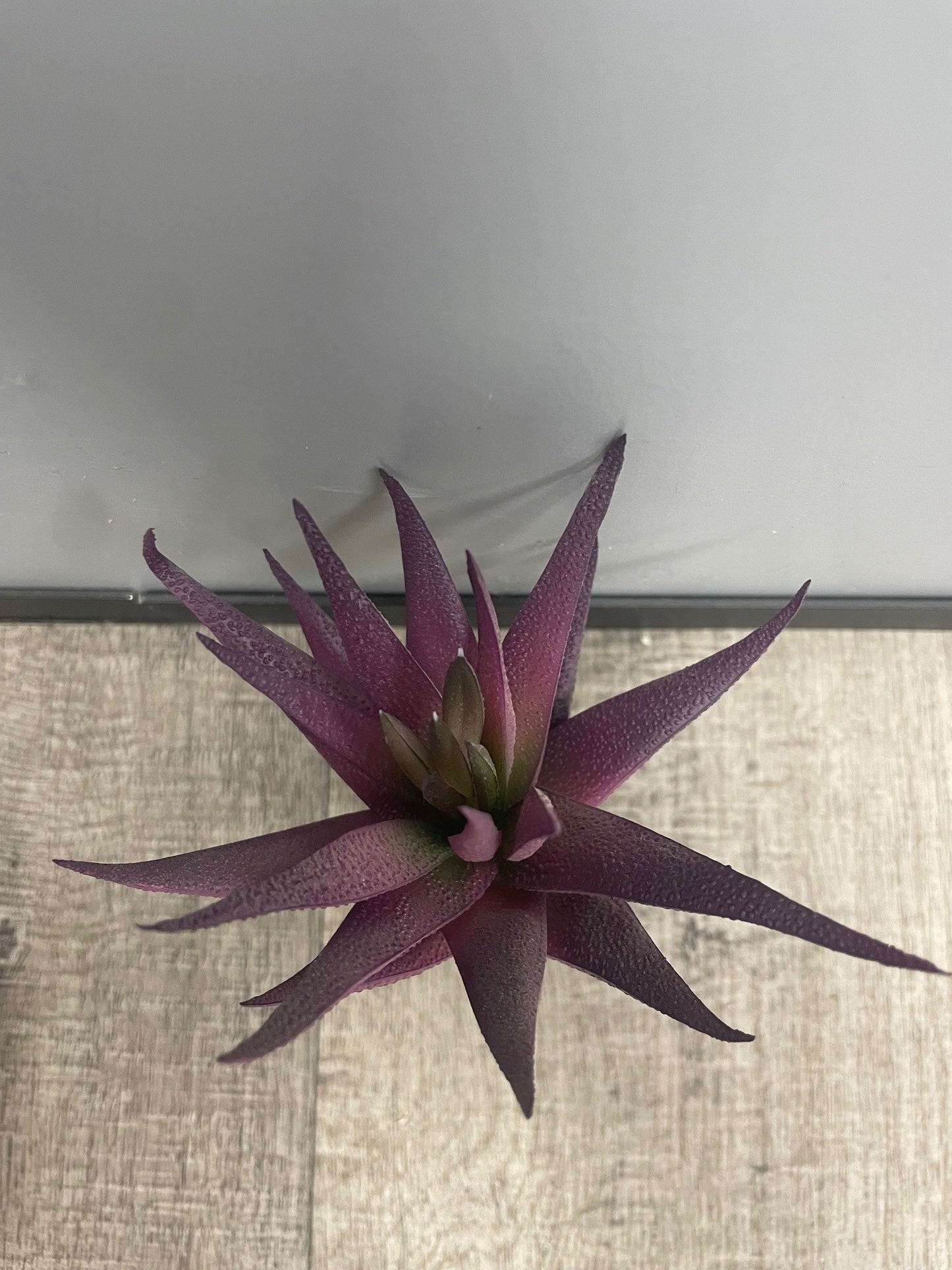 Plante artificielle Aloe en piquet - décoration intérieure - H.18cm - violet - S4