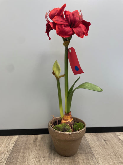Amaryllis artificielle en pot - décoration intérieure - H.69cm - rouge