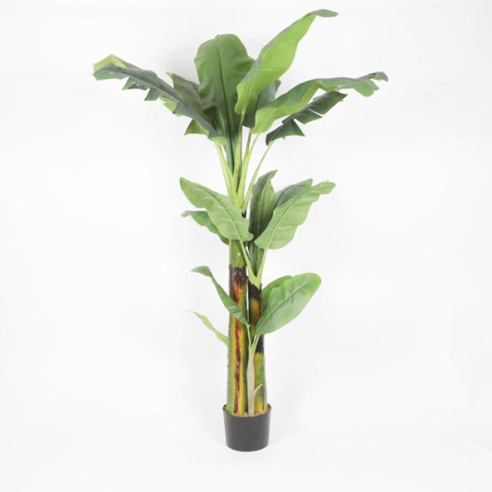 Arbre artificiel fruitier Bananier 3 troncs - intérieur - H.175cm vert