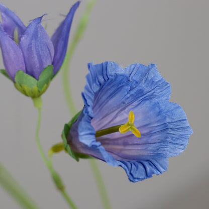 Fleur artificielle de Campanule bleue - Composition bouquet - H.60cm - 3 fleurs ouvertes et 3 fermées - MAG