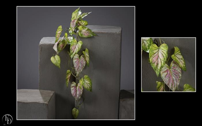 Chute de Caladium artificielle en piquet - décoration d'intérieur - H.91cm - Crème / vert et rose - P4