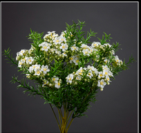 BOUQUET DE WAX 12 TIGES - décoration d'intérieur - haut. 45 cm-  S4