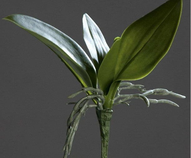 Feuillage artificiel Feuilles d'orchidée - plante en piquet - H.25cm vert - S3
