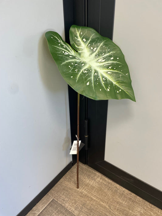 Feuille artificielle de Caladium Polyfoam - décoration d'intérieur - H.60cm - Vert foncé et pois blancs panaché - Q44