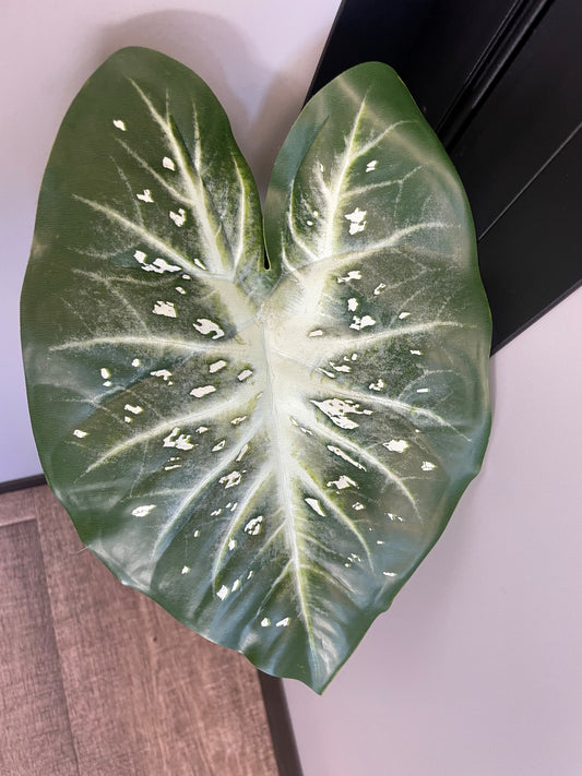 Feuille artificielle de Caladium Polyfoam - décoration d'intérieur - H.60cm - Vert foncé et pois blancs panaché - Q44
