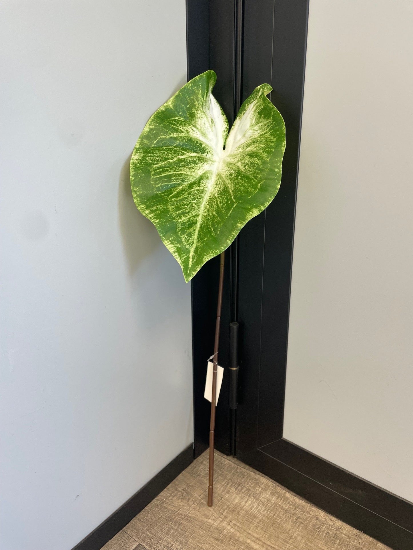Feuille artificielle de Caladium Polyfoam - décoration d'intérieur - H.60cm - Vert panaché - Q4