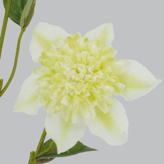 Fleur artificielle Clématite 2 fleurs et 2 boutons - décoration d'intérieur - H.64cm - Blanche