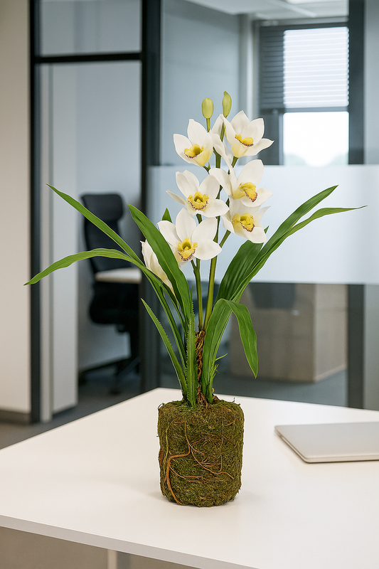 Orchidée artificielle cymbidium en motte - Feuillage intérieur - H.62cm blanc