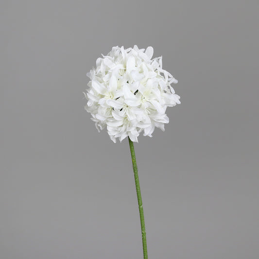 Fleur artificielle Allium tige d'ail d'ornement - composition bouquet - H.68cm blanc