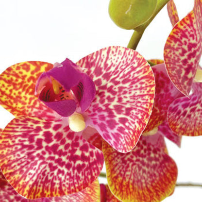 Fleur artificielle Orchidée Phalaenopsis 7 fleurs Moucheté - Naturel Touch - H.93cm Fuchsia
