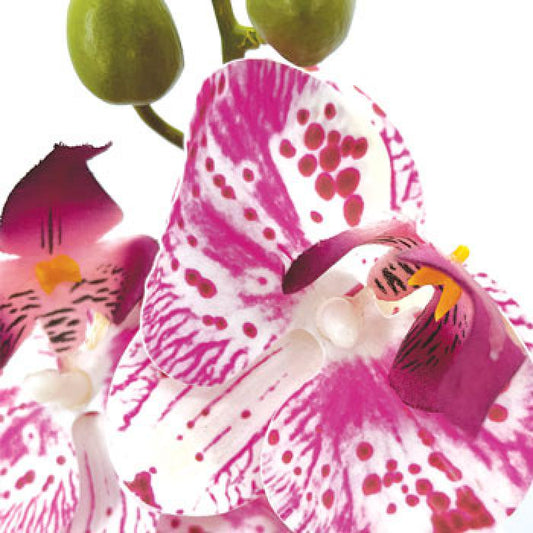Fleur artificielle Orchidée Phalaenopsis 7 fleurs Moucheté - Naturel Touch - H.93cm Rose
