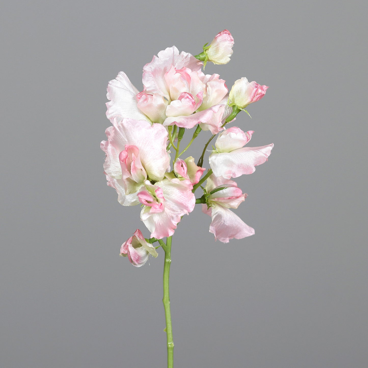 Fleur artificielle Pois de senteur - composition florale - H.46cm rose blanc