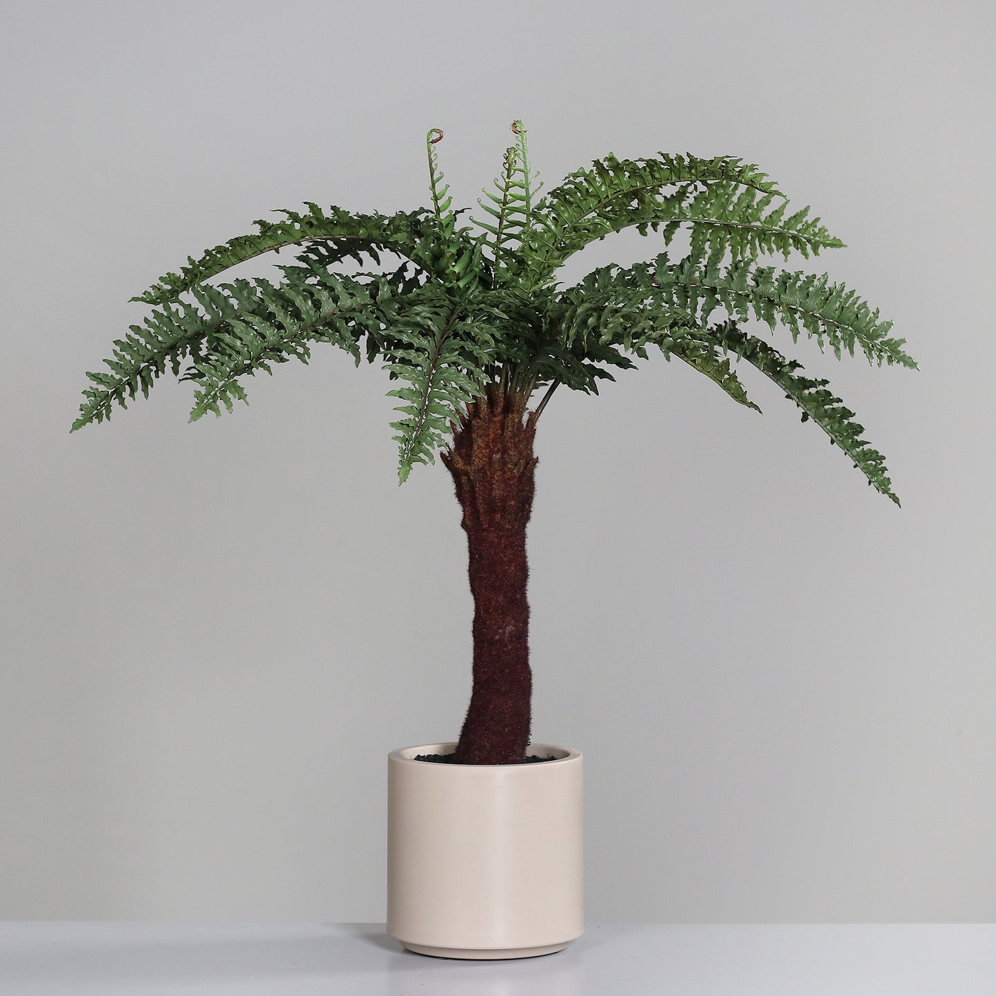 Fougère artificielle en pot décoratif couleur cappuccino - plante intérieur - H.101cm vert - S4