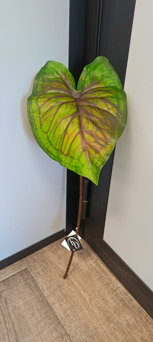 Feuille artificielle de Caladium Polyfoam - décoration d'intérieur - H.60cm - Vert foncé et marron panaché - P3