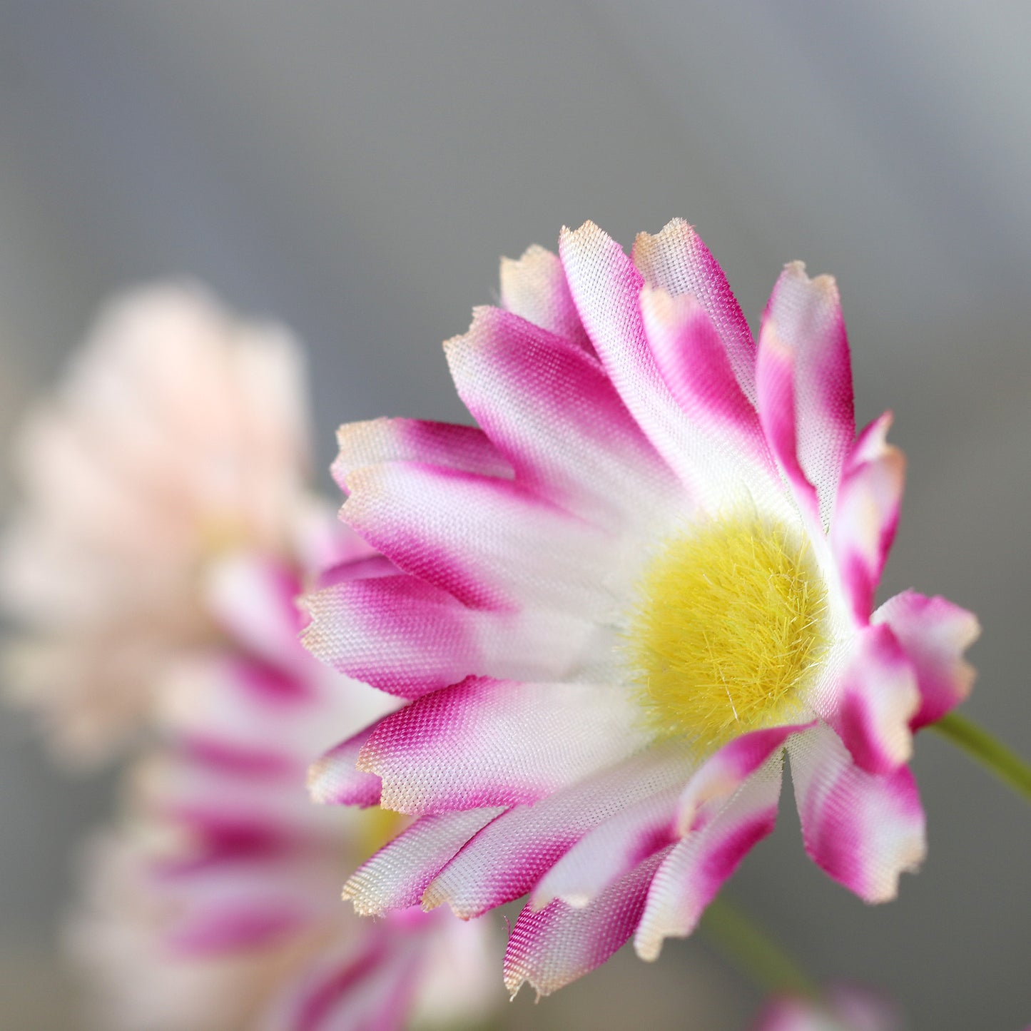 Fleur artificielle Marguerite fuchsia en vase en céramique - H.37cm - P3