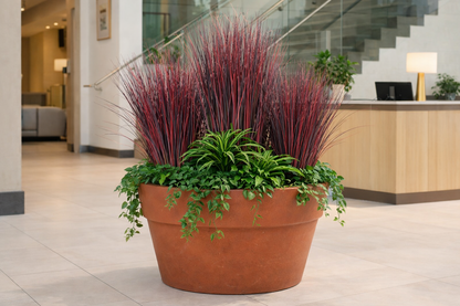 Plante artificielle Herbe Onion Grass fine - intérieur - H.75cm rouge