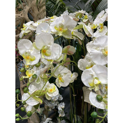 Fleur artificielle Orchidée Phalaénopsis en motte - plante d'intérieur - H.140cm crème S4