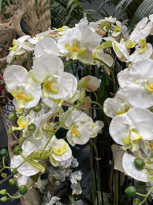 Fleur artificielle Orchidée Phalaénopsis en motte - plante d'intérieur - H.140cm crème