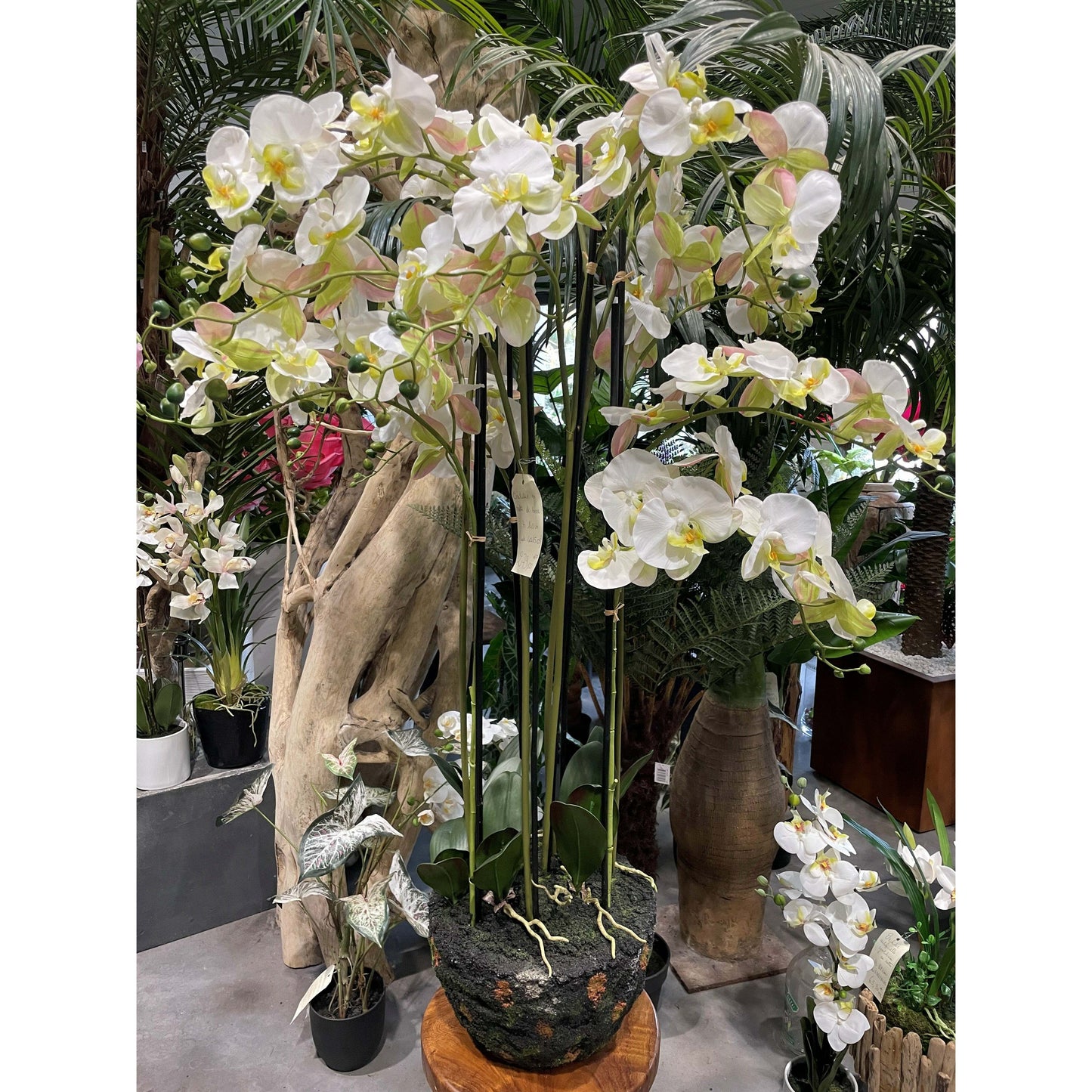 Fleur artificielle Orchidée Phalaénopsis en motte - plante d'intérieur - H.140cm crème S4