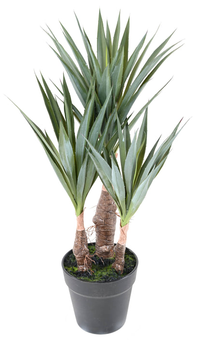 Plante artificielle Agave Sisal - cactus pour intérieur - H.55cm A