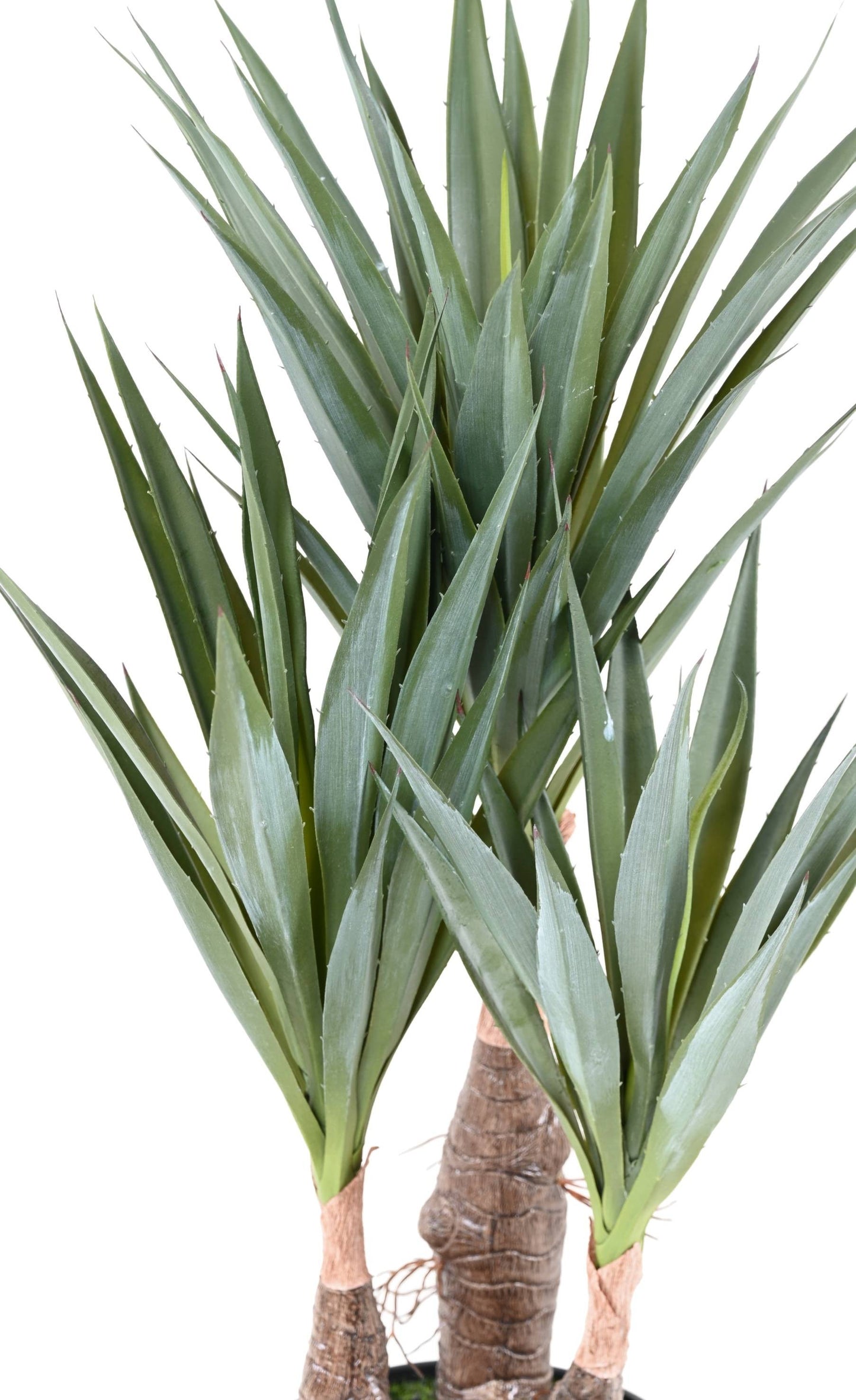Plante artificielle Agave Sisal - cactus pour intérieur - H.55cm A