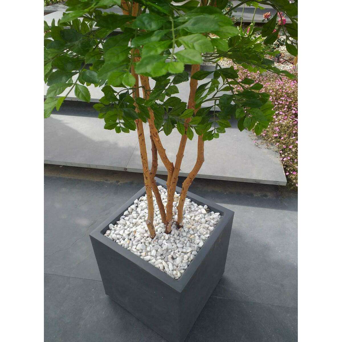 Arbre artificiel Acacia 5 troncs - plante d'intérieur - H.150cm vert