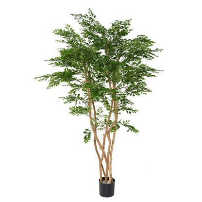 Arbre artificiel Acacia 5 troncs - plante d'intérieur - H.180cm vert