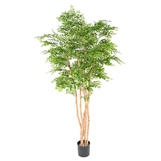 Arbre artificiel Acacia 5 troncs - plante d'intérieur - H.210cm vert